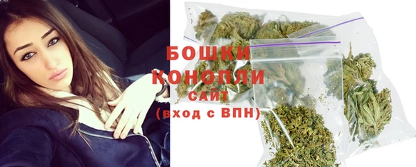 ECSTASY Дмитровск