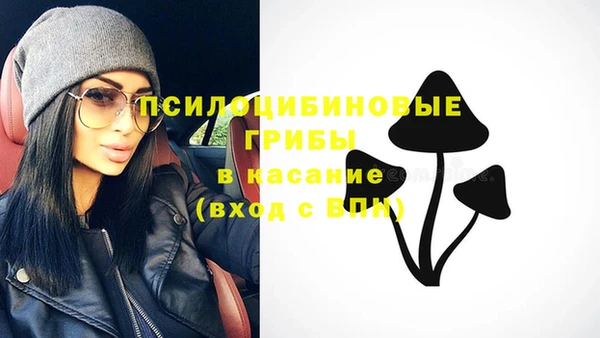 ECSTASY Дмитровск