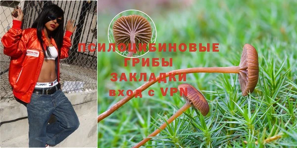 меф Гусиноозёрск