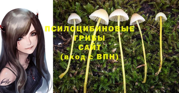 дживик Дмитров