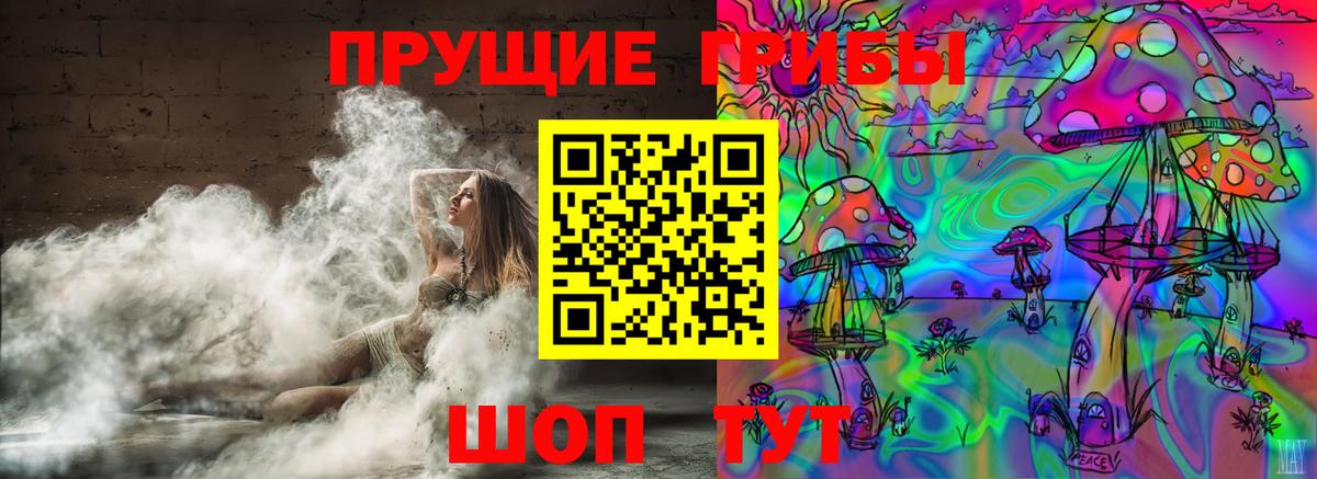 Галлюциногенные грибы Psilocybine cubensis Маркс