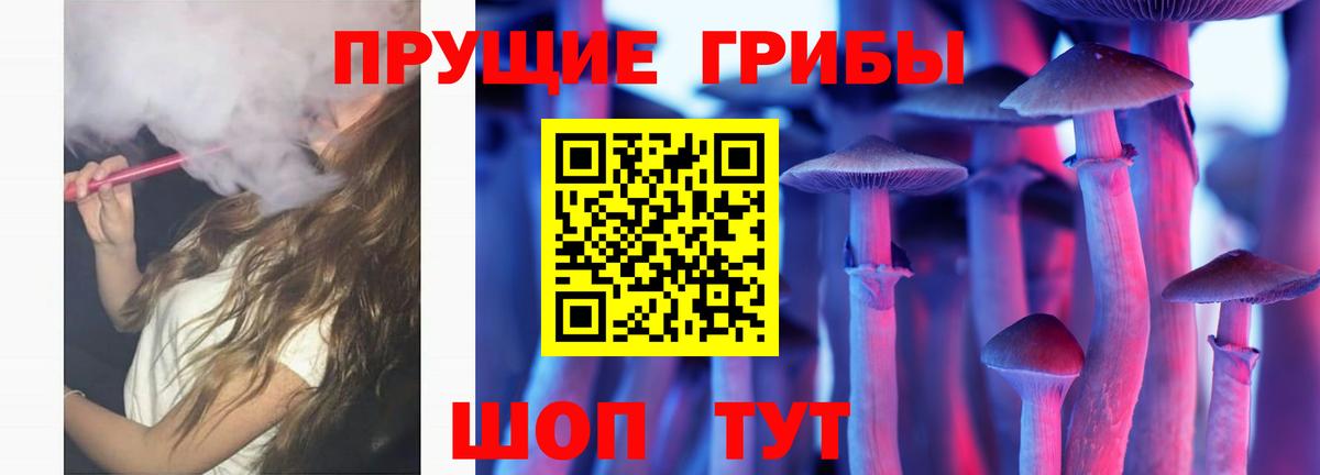 Маркс  Галлюциногенные грибы Psilocybe  Вход с VPN 